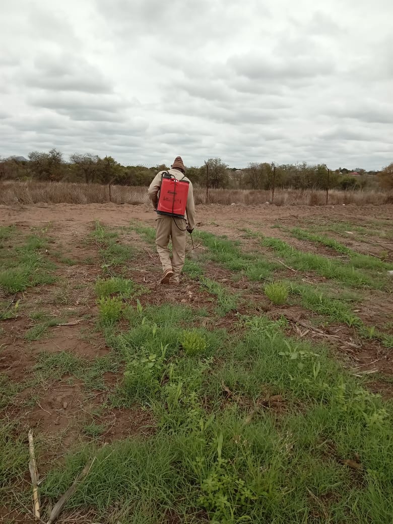 Industrial Biogas Plant